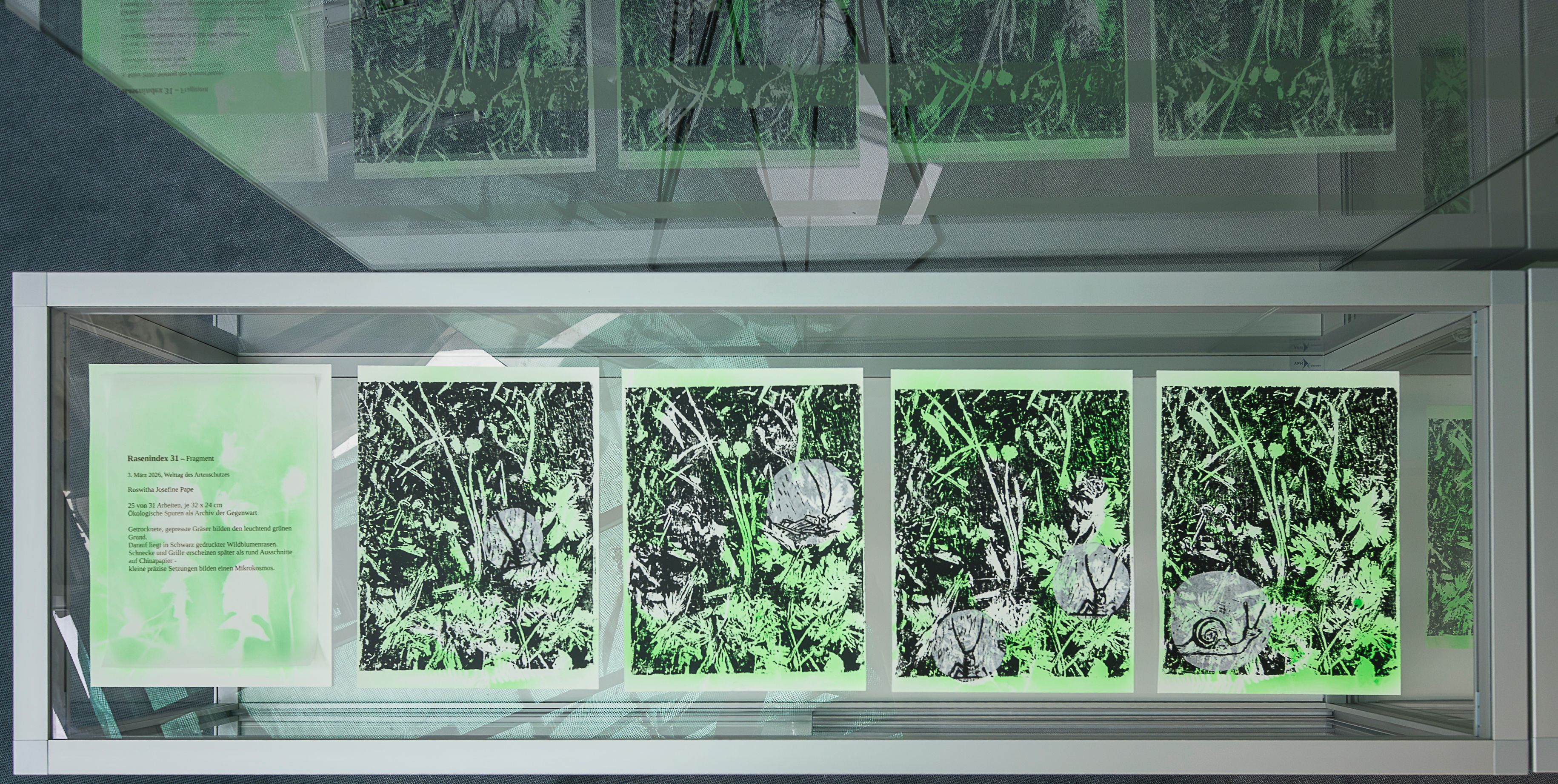 Fünf grün-schwarze Bildfelder hängen nebeneinander in einem Fensterbereich.